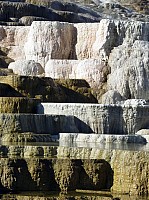 Yellowstone Mammoth Hotsprings (31).JPG